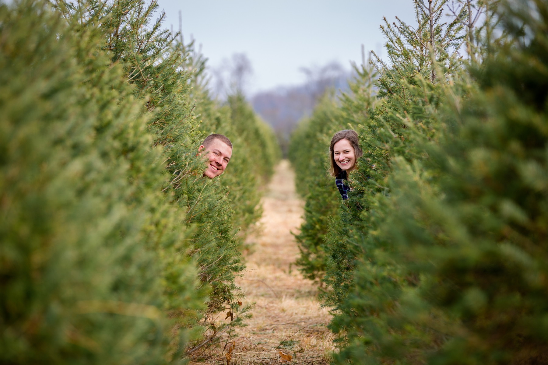 Eckler Christmas Tree Farm Couple Photography